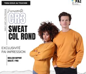 CR3 • sweat col rond top qualité/prix • 280 g