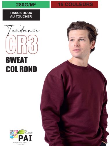 CR3 - Sweat col rond top qualité/prix - 280 g